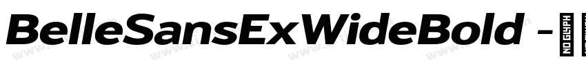 BelleSansExWideBold 字体转换 BelleSansExWideBold 字体转换